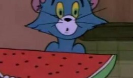 吃瓜群众沙雕版,揭秘娱乐圈那些不为人知的幕后故事