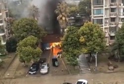 吃小区的瓜视频,吃瓜群众的热议焦点