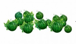 阿发吃瓜,揭秘瓜界风云人物