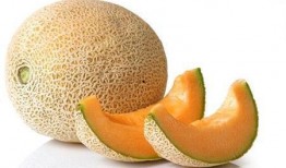 小果吃哈密瓜,小果的哈密瓜美食之旅