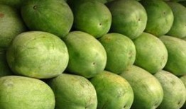 震惊吃瓜图片,惊爆眼球！吃瓜群众目睹惊人一幕