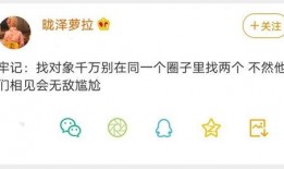 一诺吃瓜fmvp,揭秘FMVP背后的故事与传奇