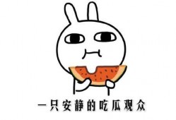 吃瓜看新闻技巧,掌握新闻解读技巧