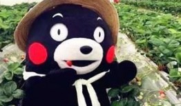 吃瓜欧尼熊酒店,揭秘吃瓜欧尼熊酒店的独特魅力与温馨体验