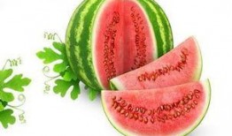 sammy吃瓜,揭秘娱乐圈背后的那些事儿