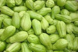 吃瓜小组文雅名称,探寻“吃瓜小组”的文雅魅力