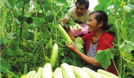 农村兄弟吃土瓜,共享田园生活的甜蜜滋味