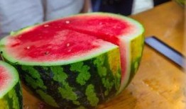 吃瓜小组文雅名称,探寻“吃瓜小组”的文雅魅力