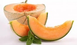 嘟嘟吃哈密瓜,甜蜜的夏日邂逅