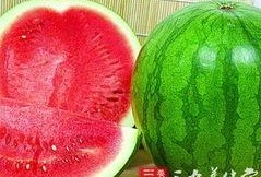 副子瓜怎么吃,解锁美味新体验