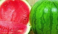 副子瓜怎么吃,解锁美味新体验