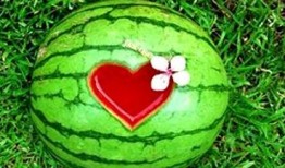 吃瓜做梦,揭秘娱乐圈的奇幻世界