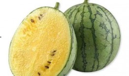 吃瓜要板凳,板凳上的观瓜指南