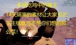 吃鸡呆瓜西游,一场奇幻的冒险之旅