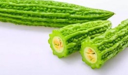 吃瓜系统萧北辰,瓜田里的风云人物