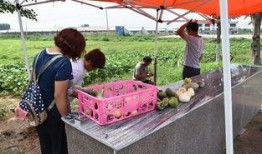 卖人吃瓜,揭秘娱乐圈背后的惊人真相