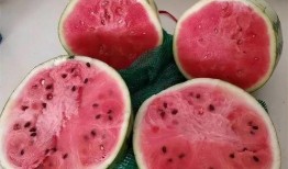 麟的吃瓜日记,娱乐圈幕后风云揭秘