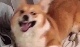 带你吃瓜平平无奇,带你领略平平无奇的吃瓜日常