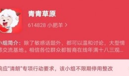 吃瓜小组起名,揭秘娱乐圈幕后故事，带你领略明星真实生活