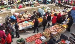 吃瓜见闻,吃瓜群众视角下的娱乐圈风云录