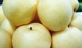 吃娱小梨瓜,揭秘娱乐圈的甜蜜瓜果