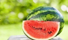 石头瓜会有瓜筋吗怎么吃,石头瓜瓜筋处理与美味食用指南