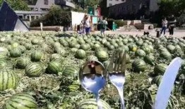 2017年吃瓜爆料,揭秘那些不为人知的幕后故事