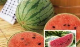 五万人吃瓜,一场别开生面的“吃瓜”狂欢