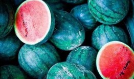 澳洲的吃瓜,揭秘当地美食文化